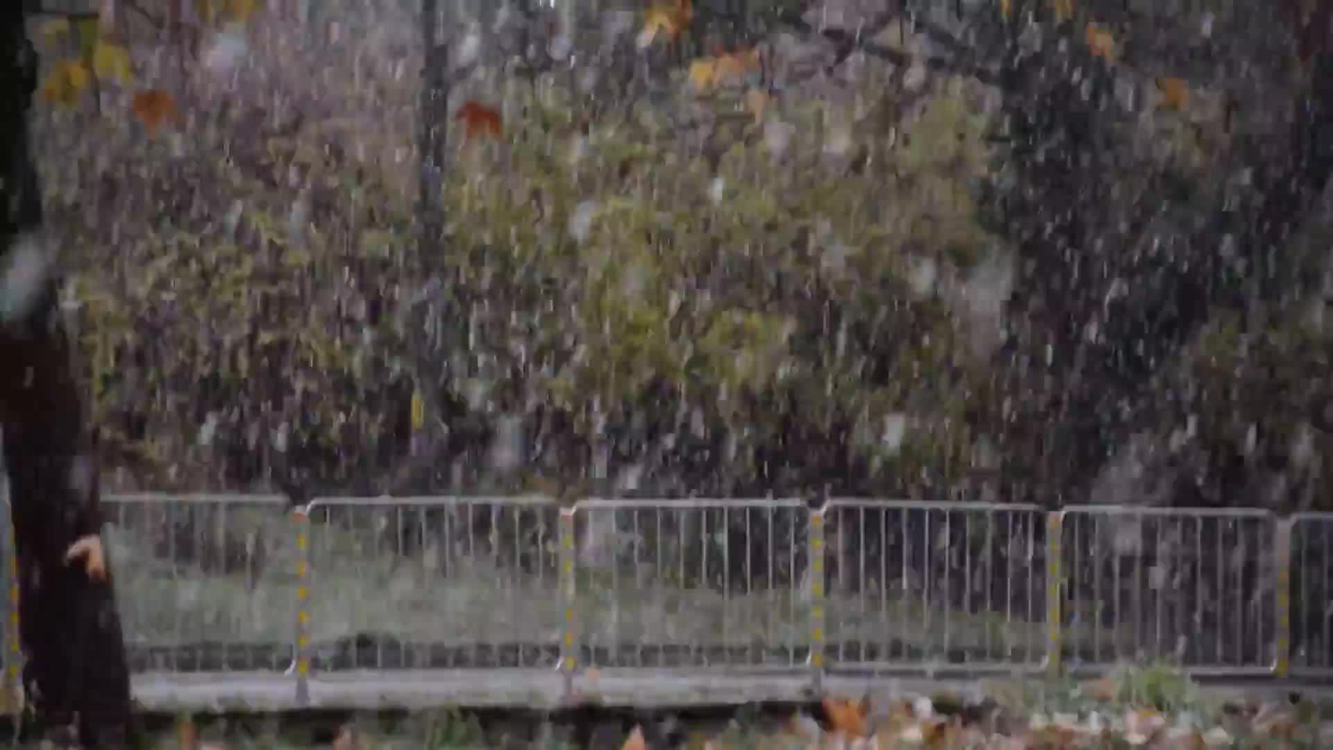 Добро утро с първият сняг от Разград!
