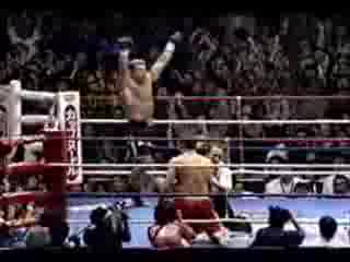 K1 Колекция Нокаути