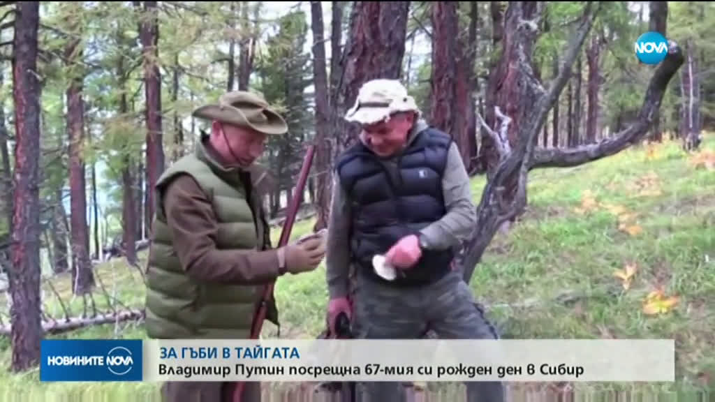 Навръх рождения си ден: Путин бере гъби в сибирските планини