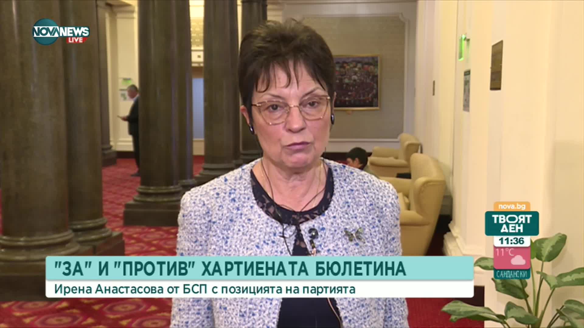 Анастасова: Общественият съвет към ЦИК не доказа, че може да бъде коректив