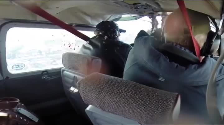 >Гъска експлодира през предното стъкло на Cessna 210 при излитане.