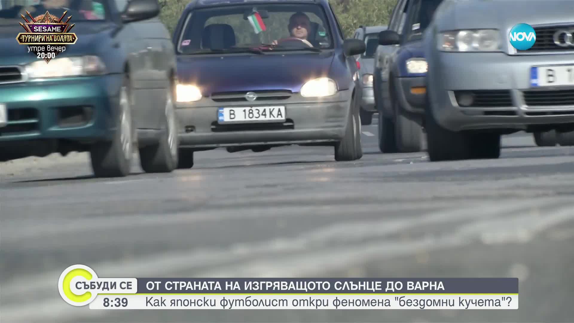 Как един японски футболист откри феномена "бездомни кучета" във Варна (ВИДЕО)
