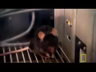 Най - опасният наркотик на света !