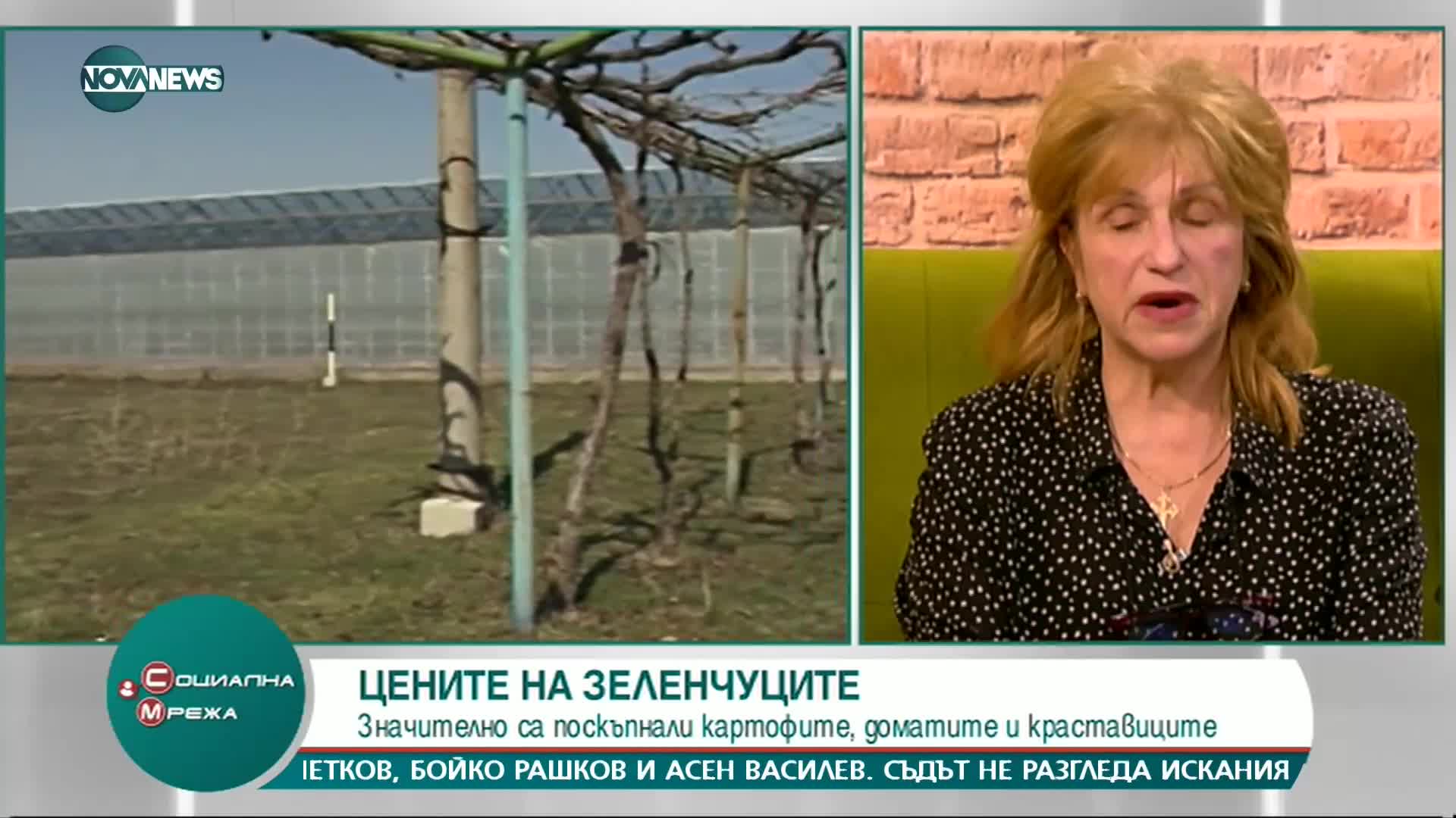 Зеленчукопроизводители: До 10 години българските плодове и зеленчуци ще са екзотика