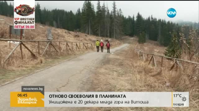 В печата: Депутатите теглят ножа на копърките