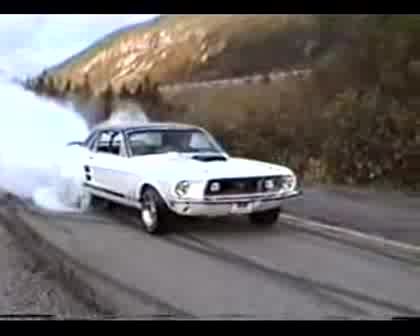 Mustang Varti Gumi