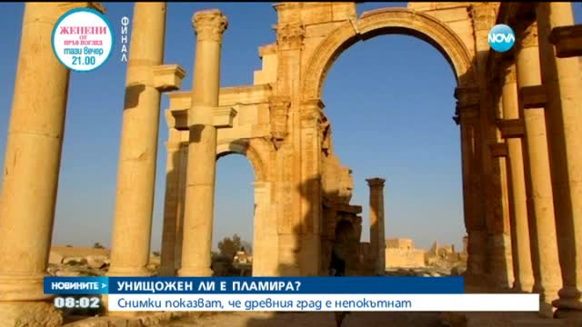 „Ислямска държава”: Няма щети в Палмира