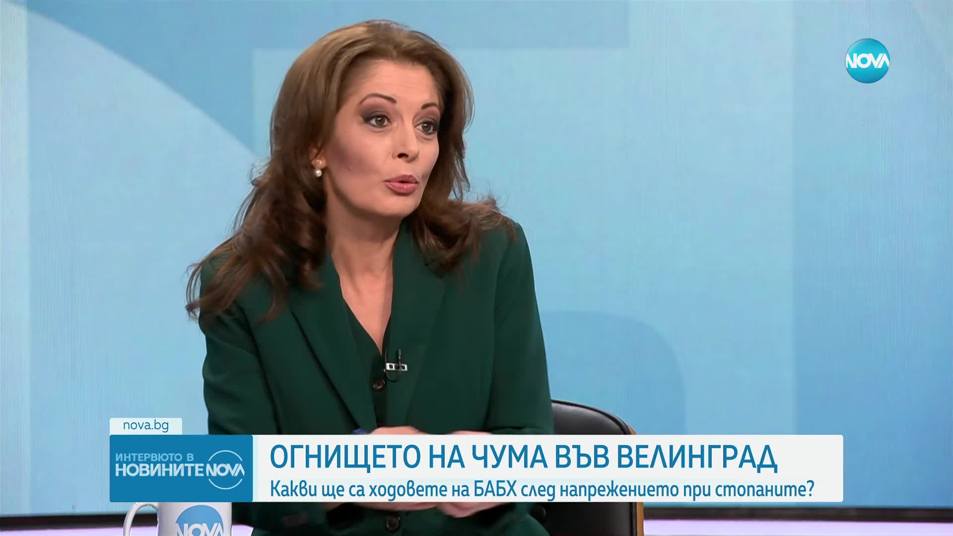 Експерт от БАБХ: България трябва да спазва европейските регламенти и да унищожи заразените с чума стада