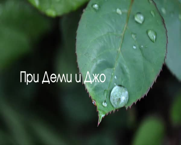 Неочаквана любов - Епизад 9 Сезон 2 