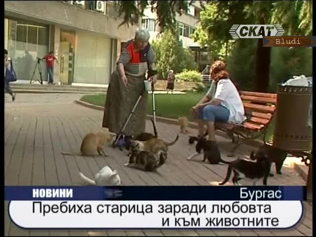 Изверги пребиха жестоко жена за това, че хранила бездомни котки! 