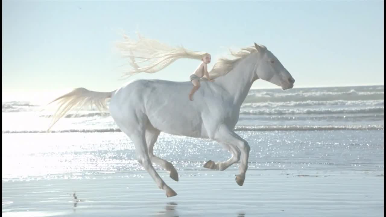 Белая лошадь в прыжке