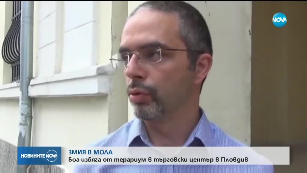 Боа избяга от зоомагазин в мол в Пловдив