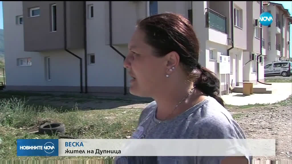 Бездомно куче нахапа 6-годишно дете в Дупница