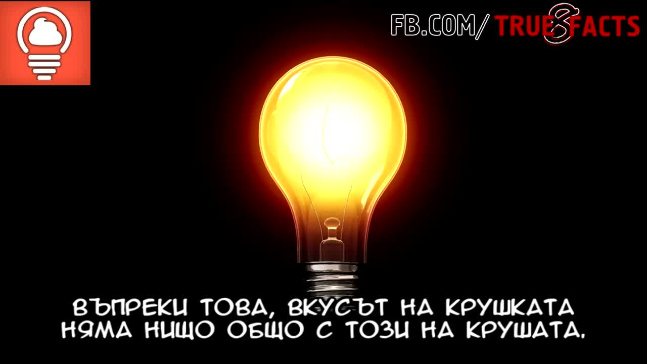 Неизумителни факти за крушката