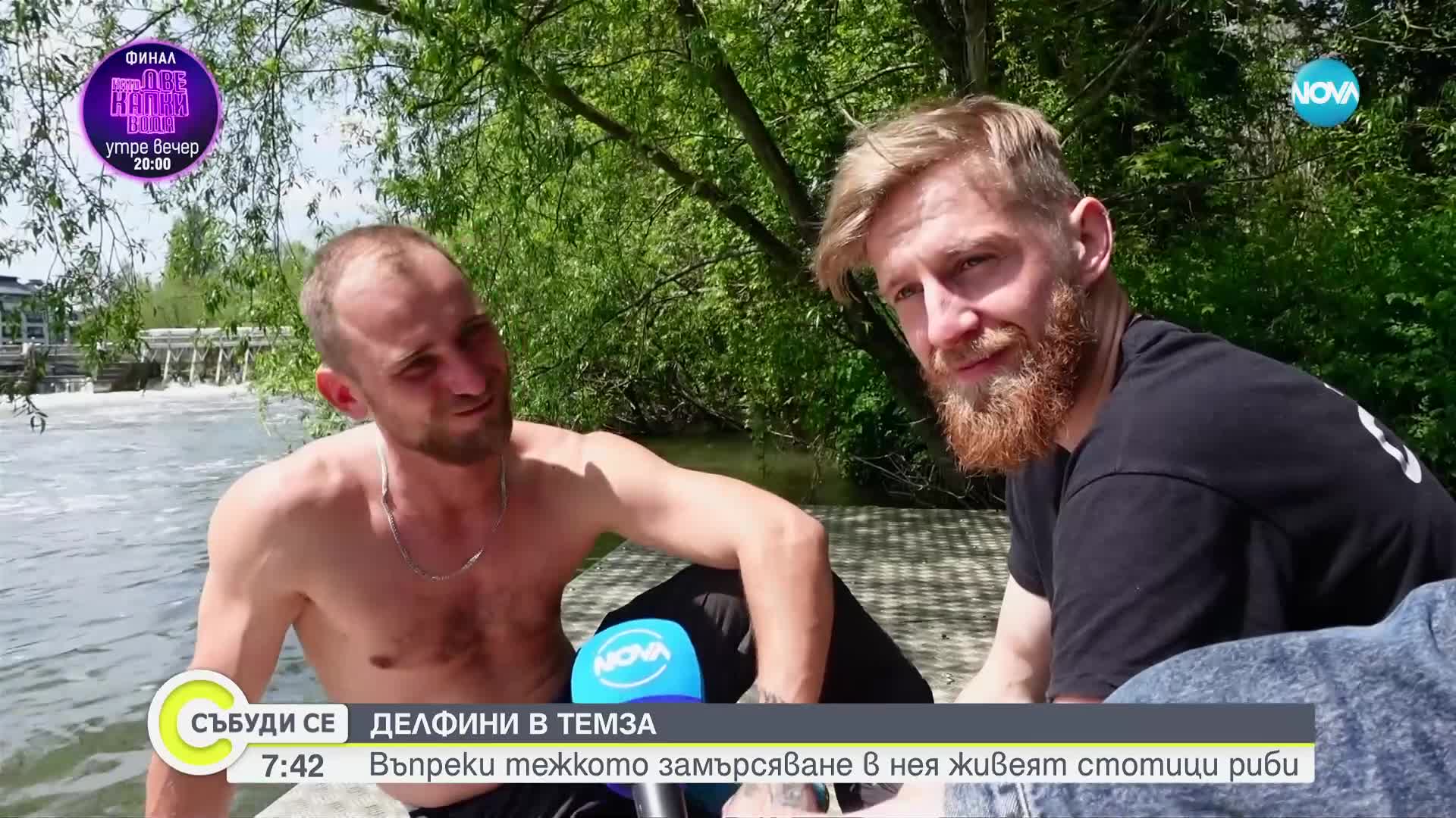 Откриха рекордни количества фекалии и ешерихия коли 10 пъти над нормата в Темза