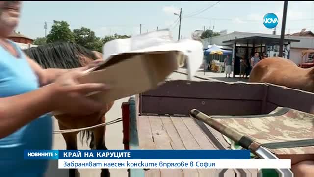Забраняват наесен конските впрягове в София