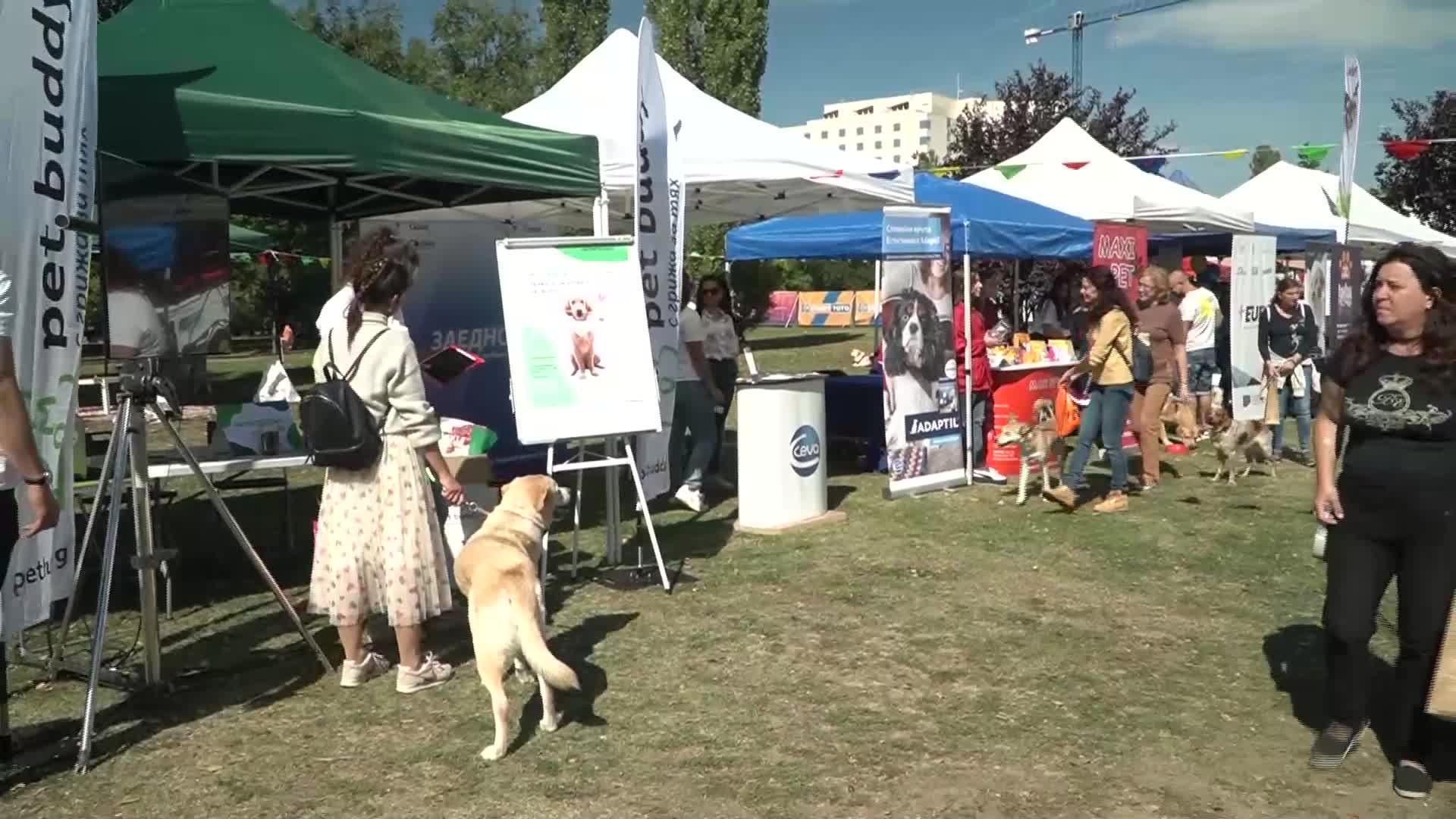 Кучешки фестивал "Dog Fest" събира приятели на четириногите в Южния парк (ВИДЕО)