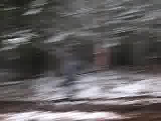 Лада Нива или Волга???