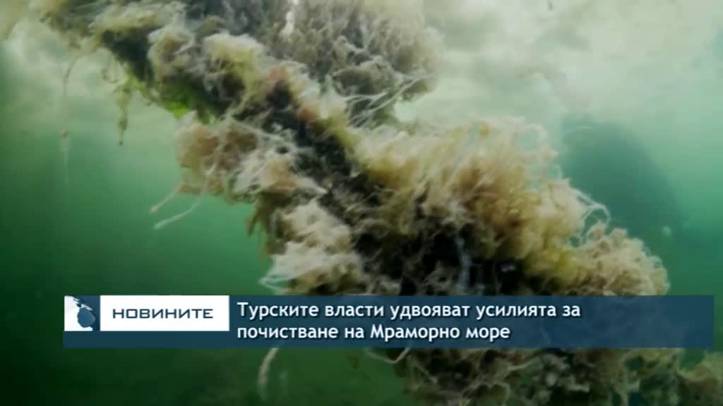 Турските власти удвояват усилията за почистване на Мраморно море