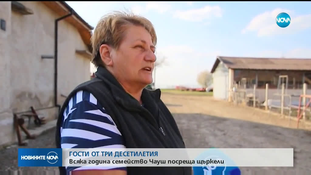 ГОСТИ ОТ ТРИ ДЕСЕТИЛЕТИЯ: Всяка година семейство Чауш посреща щъркели