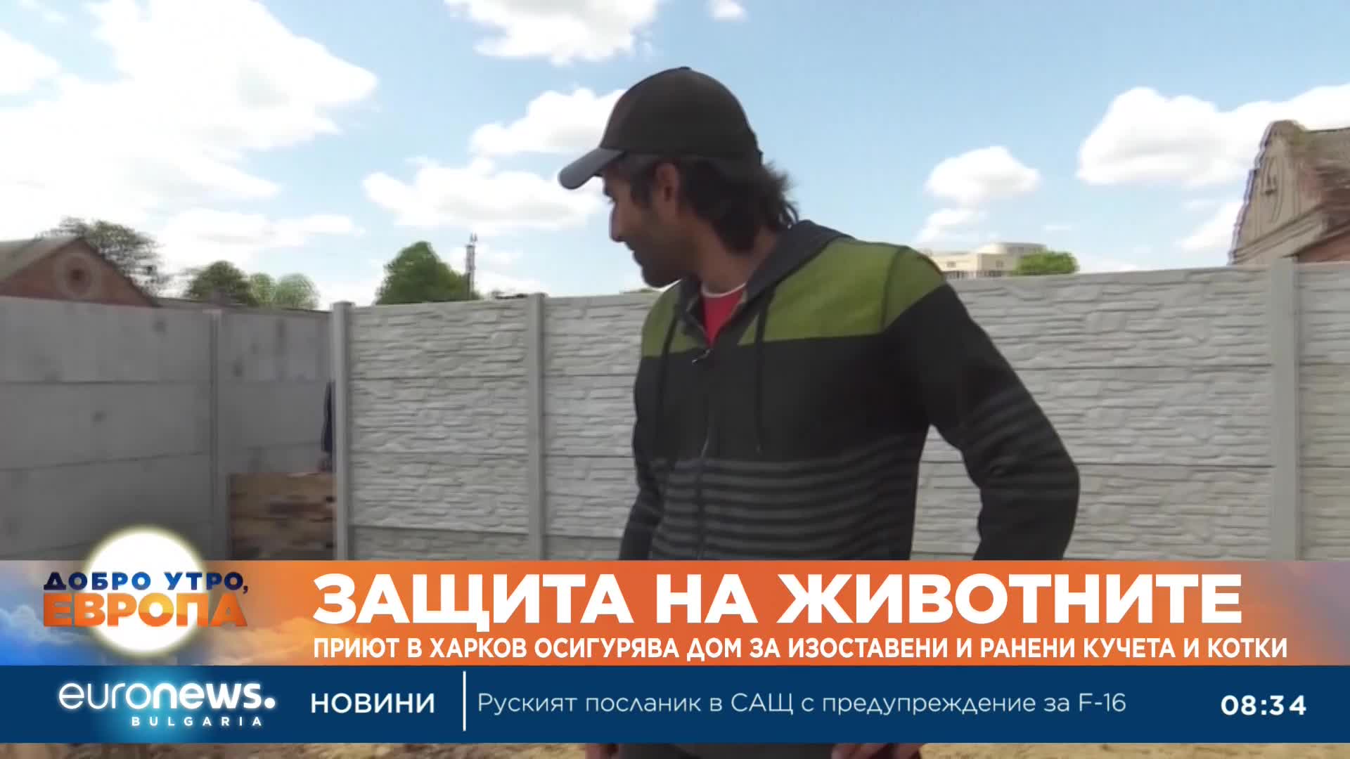 Приют в Харков осигурява дом за изоставени и ранени кучета и котки  