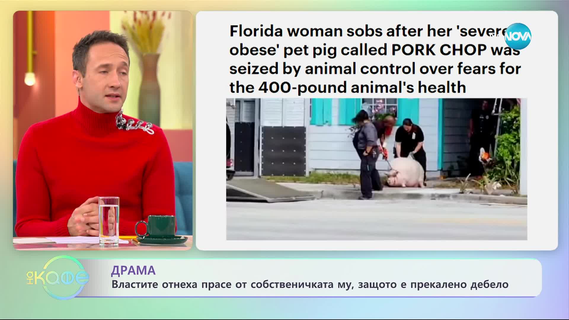 Драма- властите отнеха прасе от собственичката му, защото е прекалено дебело - „На кафе” (15.11.2023