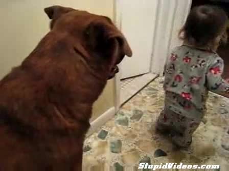 Бебенце Се Кефи На Куче