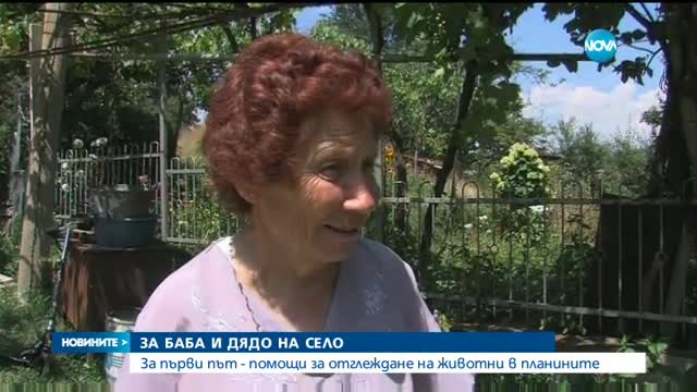 За първи път - помощи за отглеждане на животни в планините