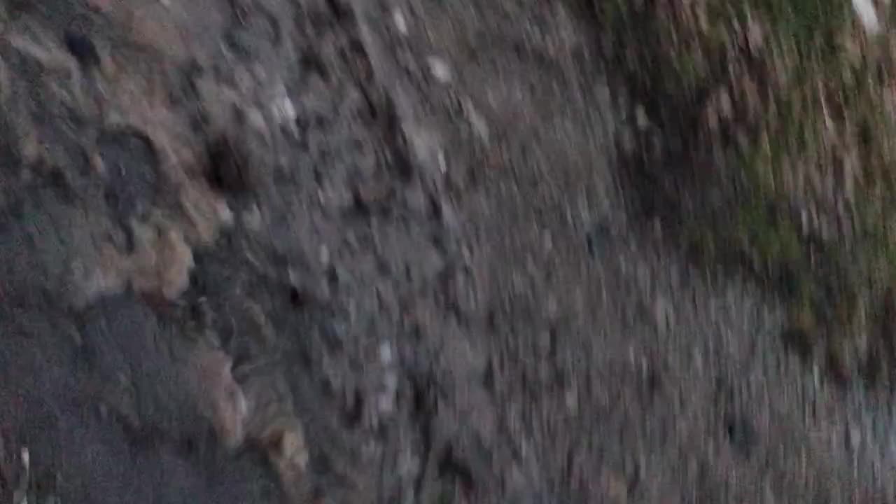 Водата на София