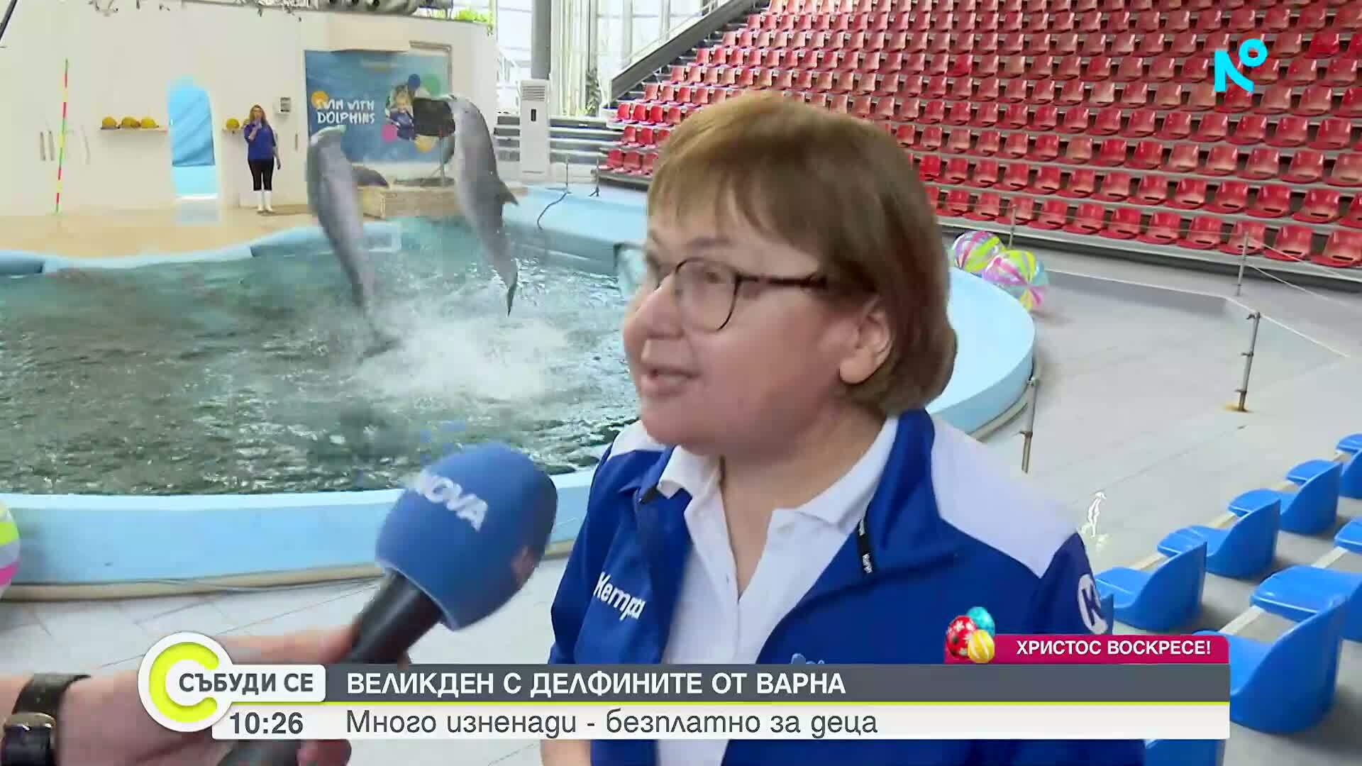 Великден с делфините от Варна