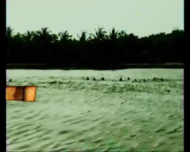 Реклама На Survivor 2 - Скоро По Btv