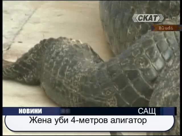 Жена уби 4–метров алигатор 