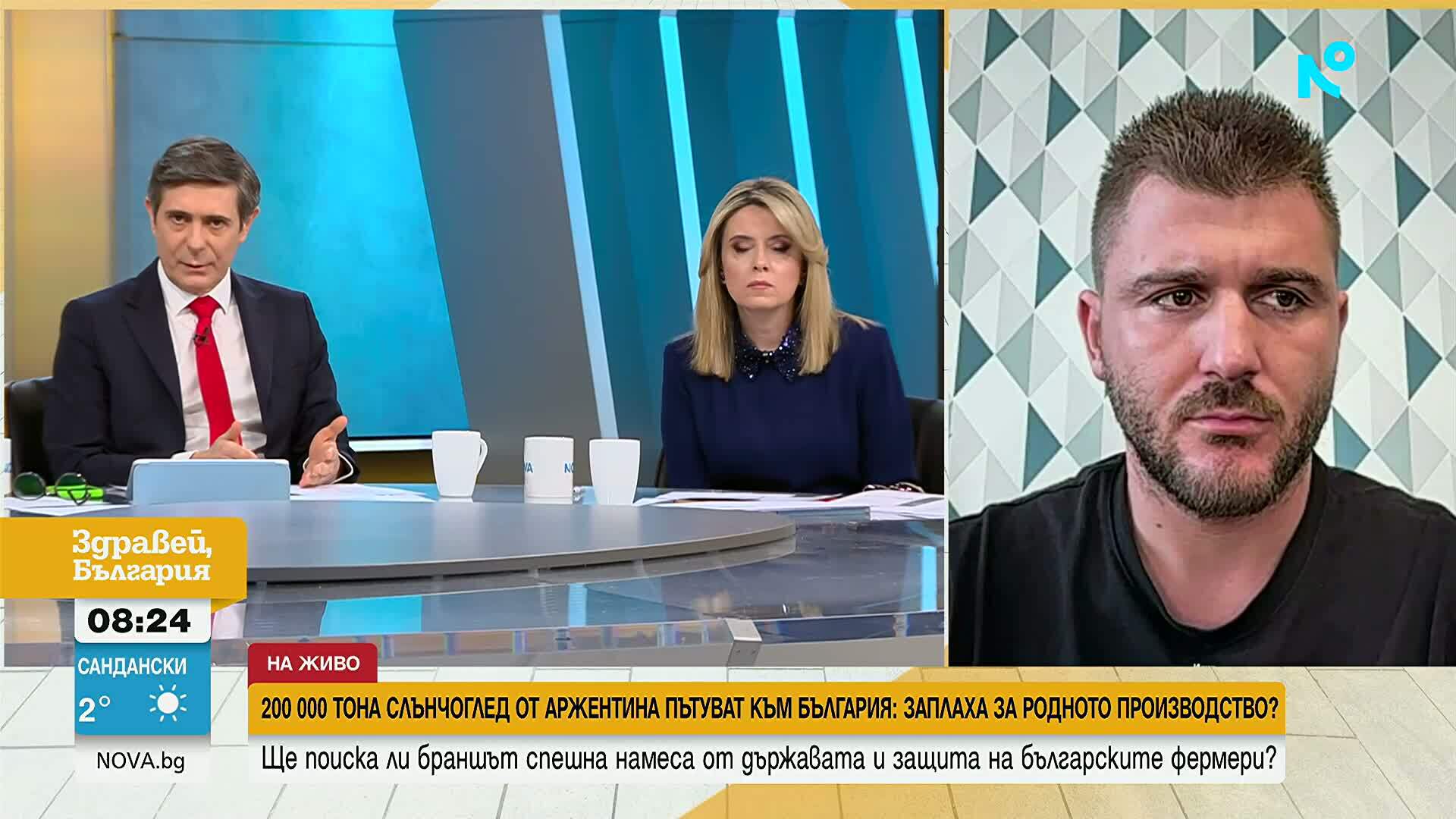 Аржентински слънчоглед тревожи българските зърнопроизводители