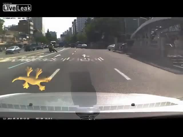 Този полицай взима нещата доста на сериозно.. Но в крайна сметка крадеца беше заловен! Смях!