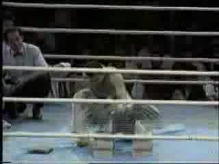 Избрани Моменти К1 Andy Hug