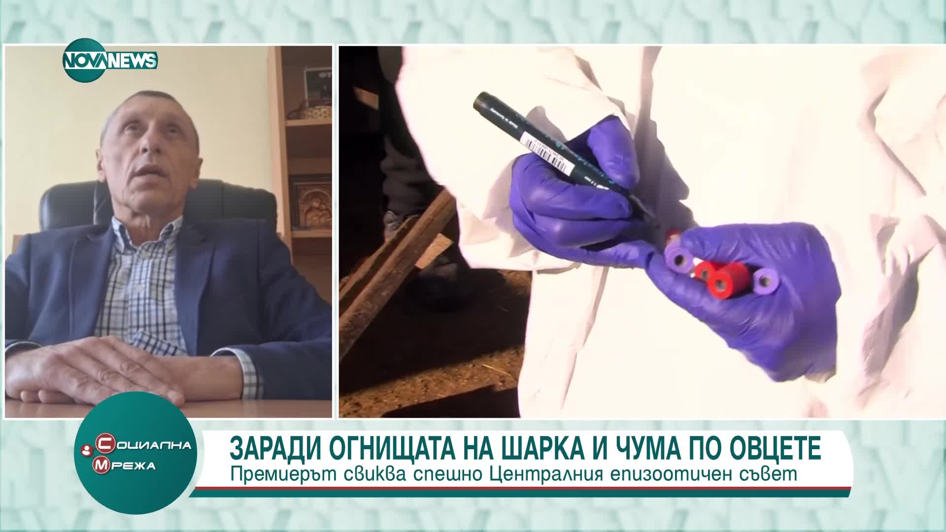 Ветеринар: Убиването на животните е единственият начин да се спре разпространението на чумата