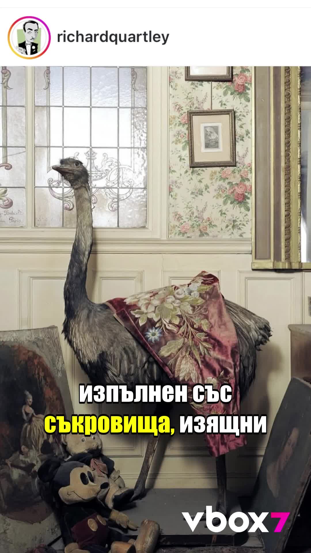 Апартаментът, който замръзна във времето? 70-годишна тайна е разкрита?