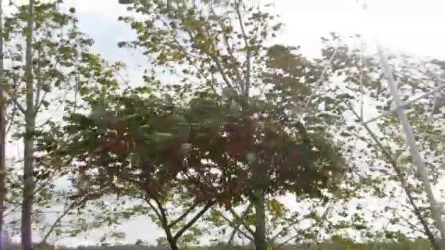 Бурен и студен вятър в Разградско!