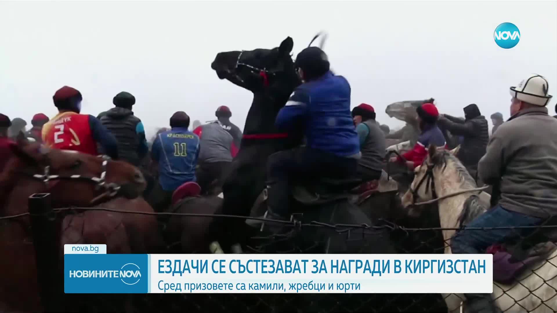 Ездачи в Киргизтан се състезават за камили, жребци и юрти