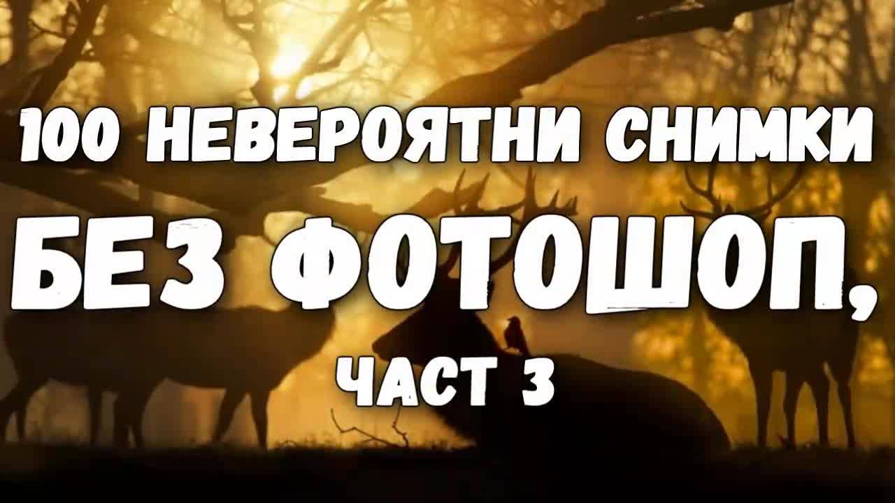 100 невероятни снимки без Фотошоп, част 3