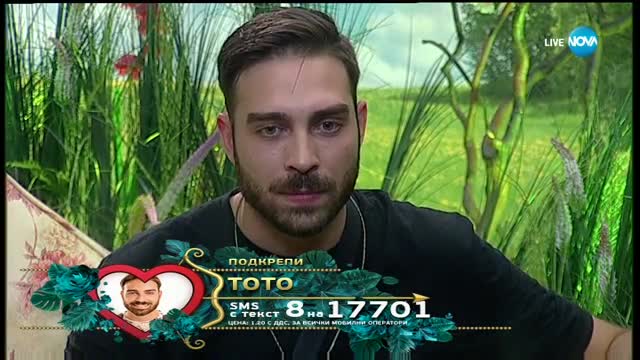 Тото за "Приключението VIP Brother" - VIP Brother 2017