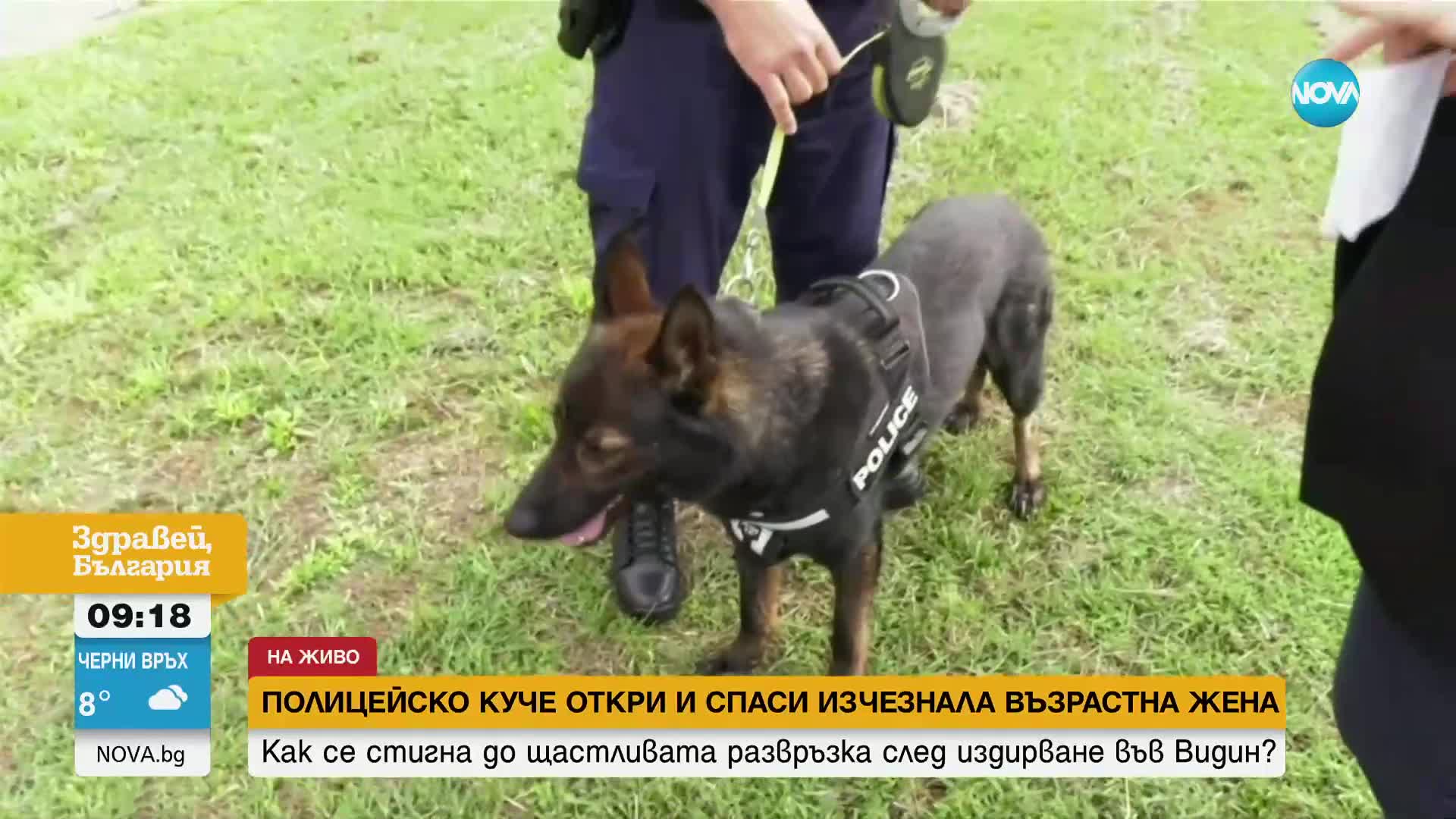 Полицейско куче откри и спаси изчезнала жена във Видинско