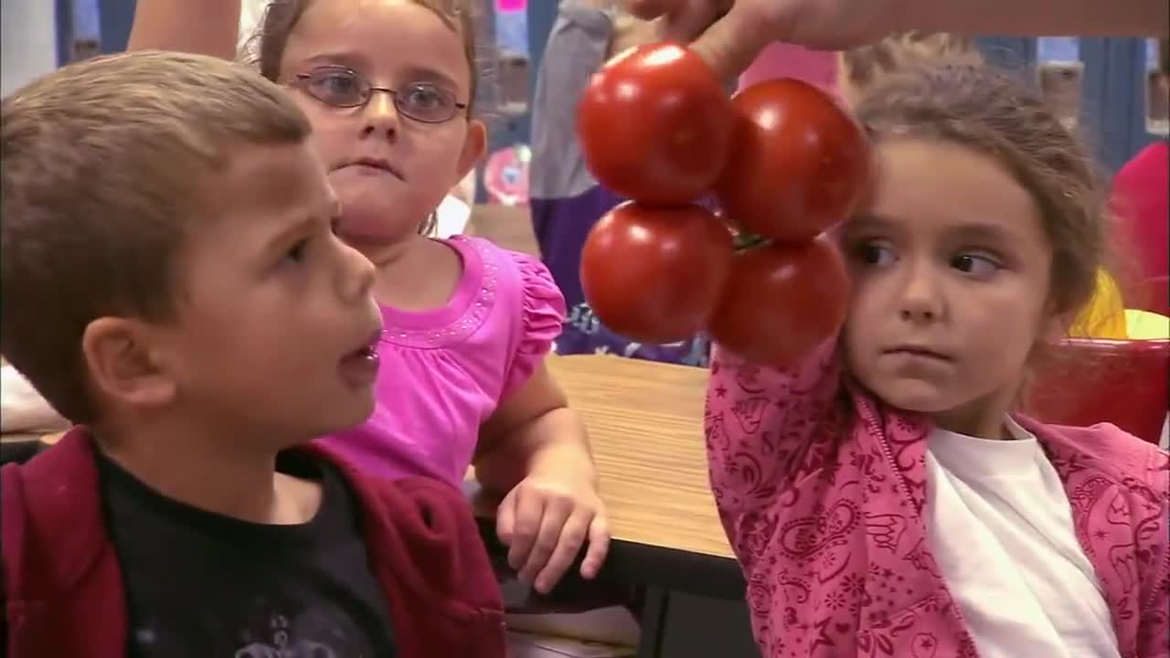 Децата в западните страни, не знаят какво е това домат и какво картофи!