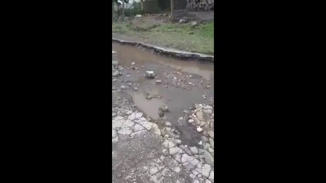 "Моята новина": Наводнение в село Крушовене