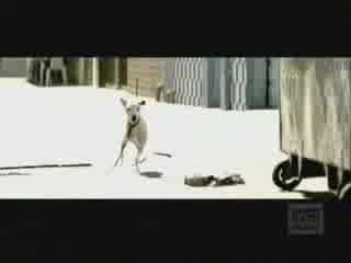 Bon Jovi - It`s My Life