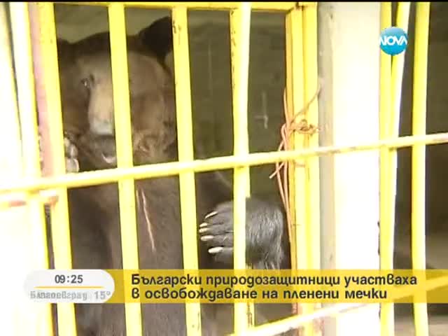 Българи спасяват атракционни мечки в Косово