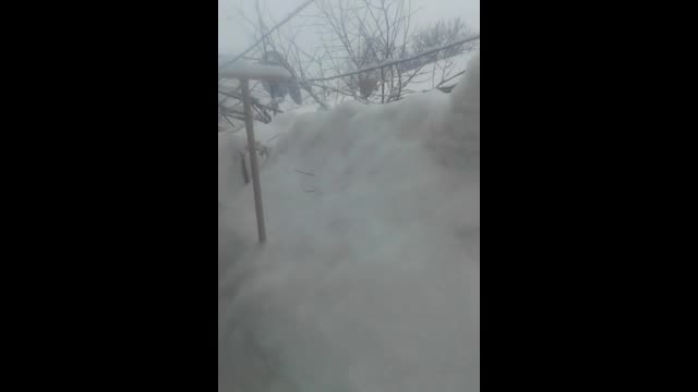 "Моята новина": Зимна обстановка