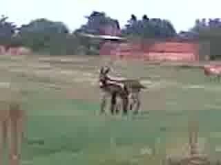 Откриване На Ловния Сезон