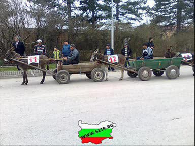 Това може да се види само в България