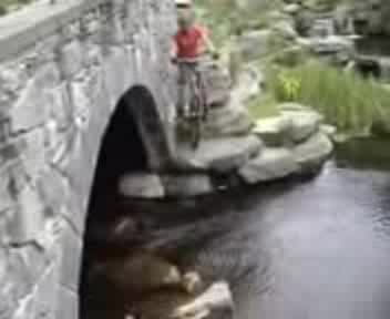 Номера С Колело